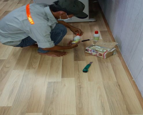 Công ty diệt mối sinh học tại nhà