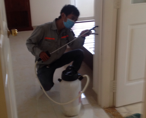 Công ty diệt mối Hải Phòng