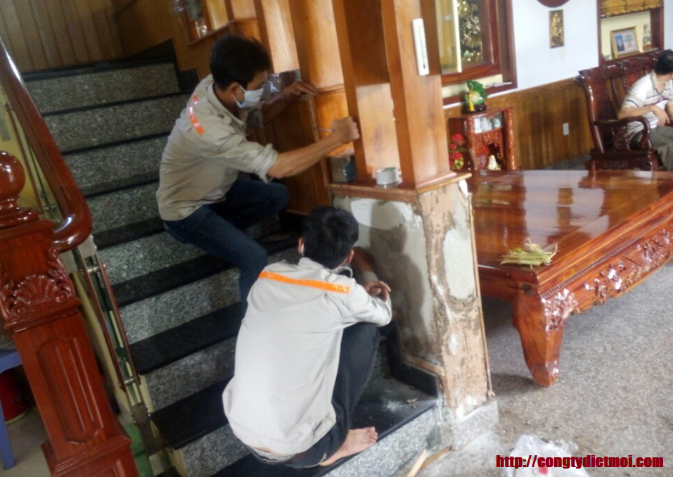 Dịch vụ diệt mối tại Thanh Hóa Dịch vụ diệt mối ở Thanh Hóa