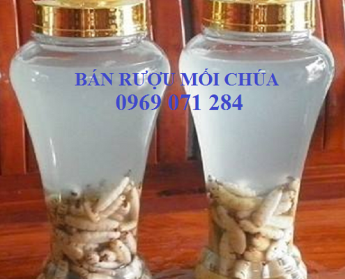 ban-moi-chua